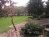 ap1010142_thumb.jpg