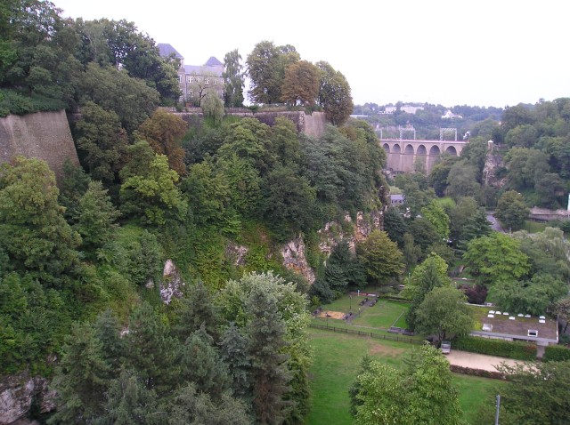 p1011275.jpg