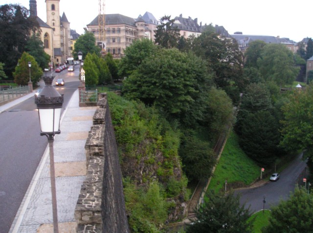 p1011312.jpg