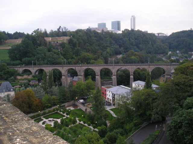 p1011315.jpg