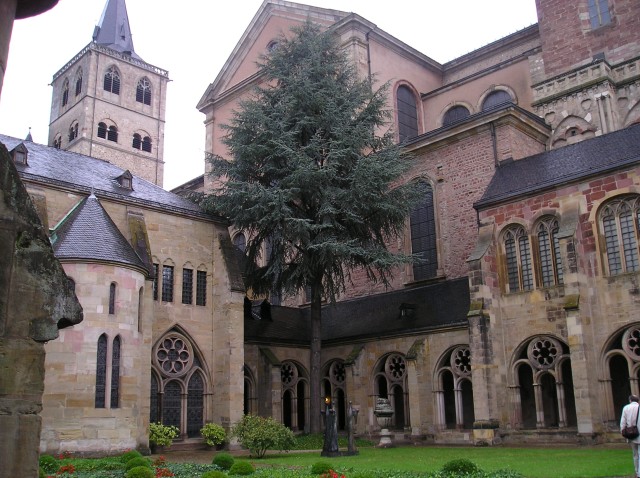 p1011405.jpg