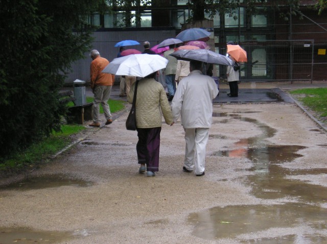 p1011421.jpg