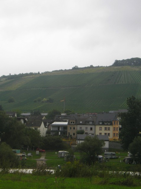 p1011429.jpg