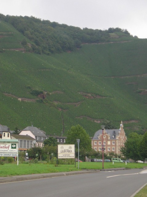p1011430.jpg