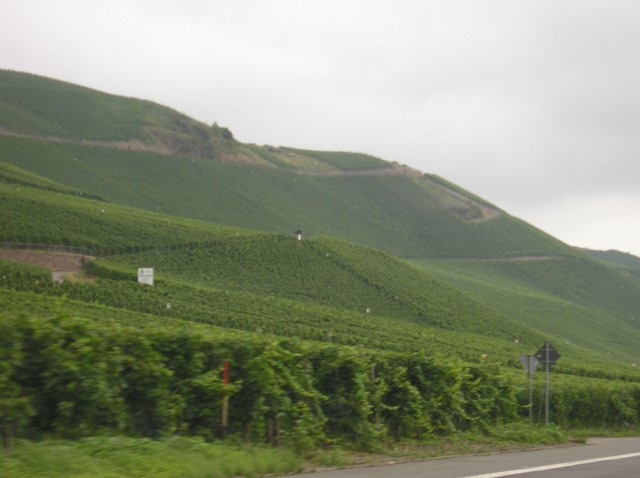 p1011431.jpg