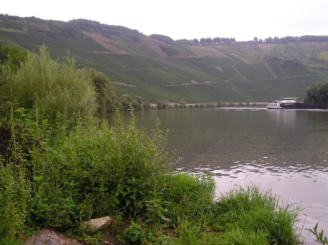 p1011433.jpg