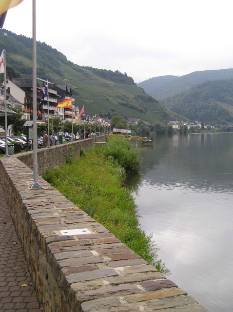 p1011442.jpg