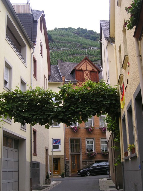 p1011446.jpg