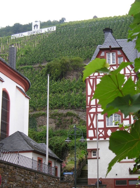 p1011447.jpg