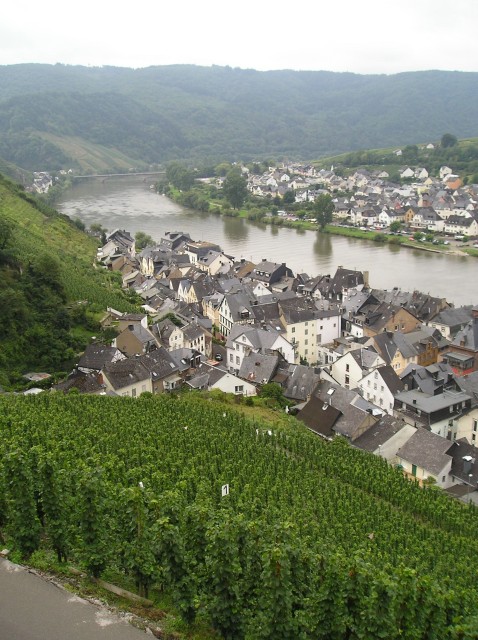p1011450.jpg
