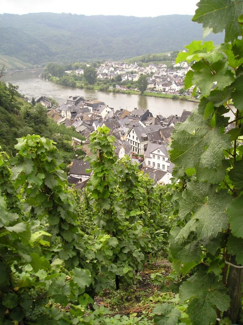 p1011461.jpg