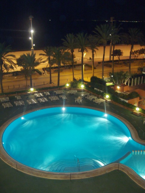 P1010005.JPG
