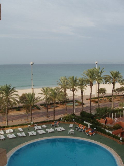 P1010015.JPG