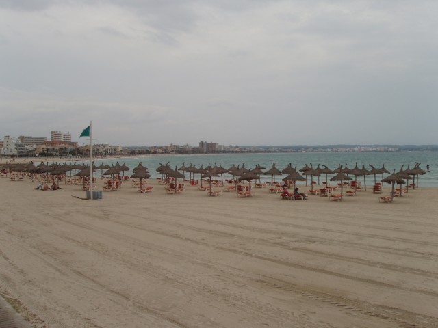 P1010024.JPG