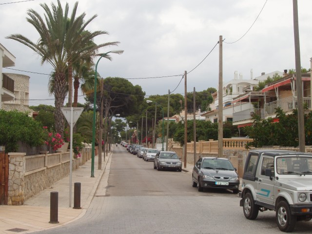 P1010028.JPG