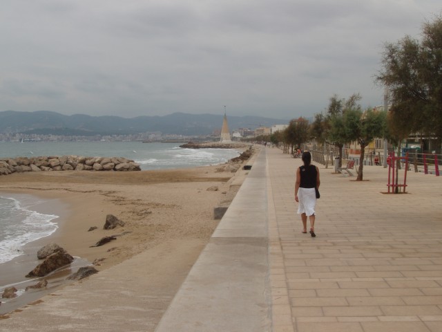 P1010039.JPG