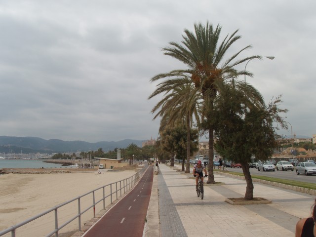 P1010042.JPG