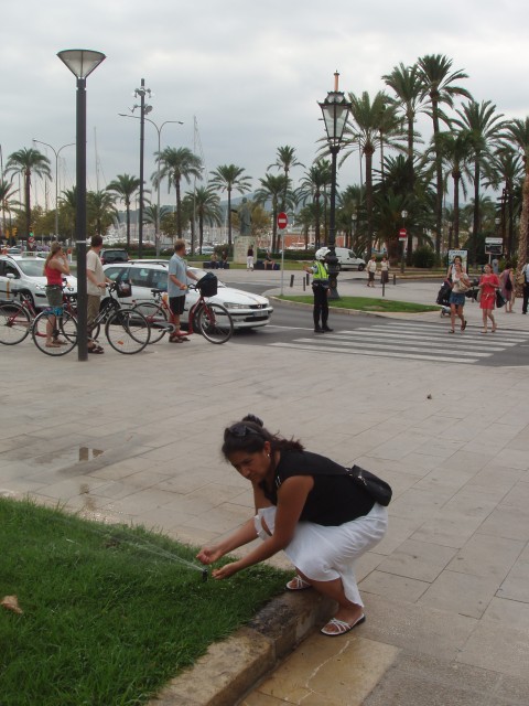 P1010051.JPG