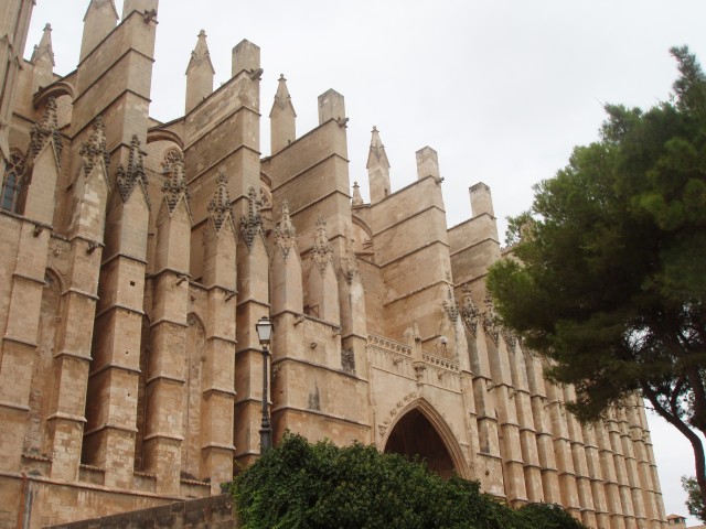 P1010053.JPG