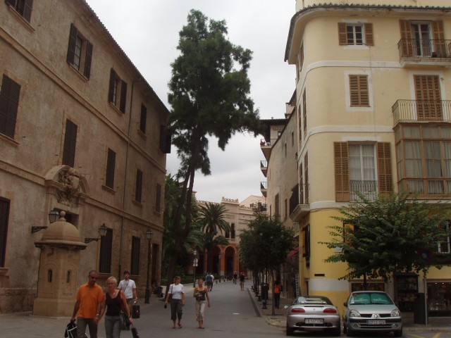 P1010058.JPG
