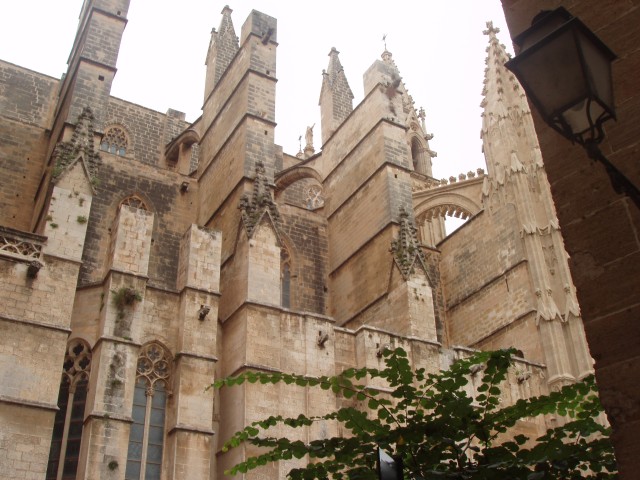 P1010060.JPG