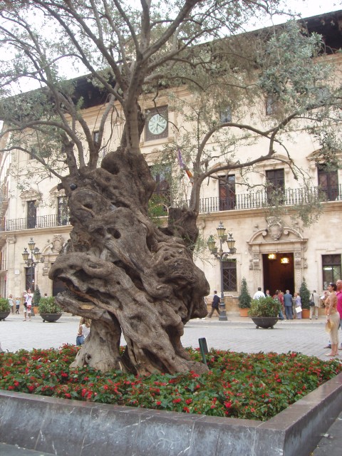 P1010068.JPG