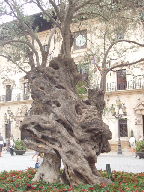 P1010069.JPG