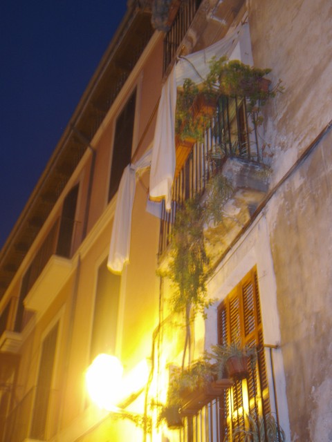 P1010084.JPG