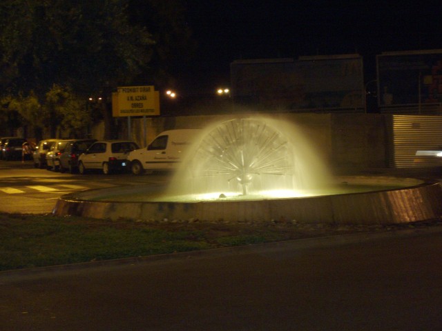 P1010087.JPG