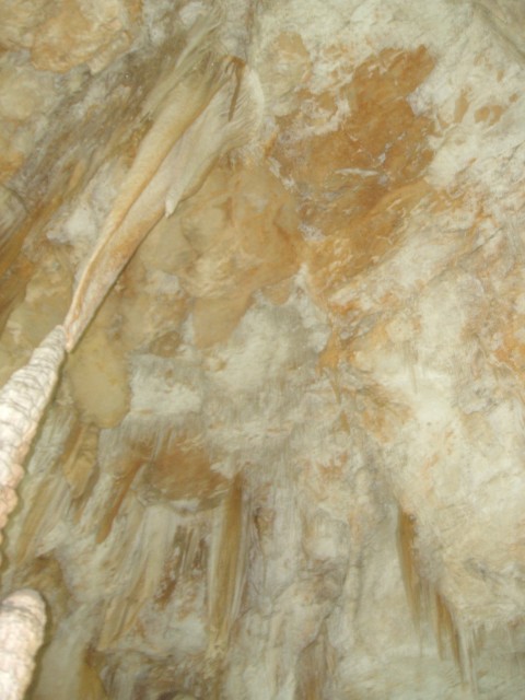 P1010088.JPG