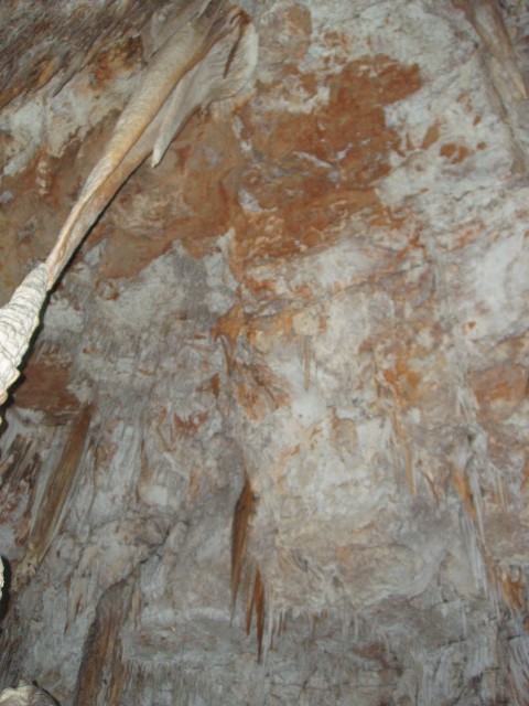 P1010089.JPG
