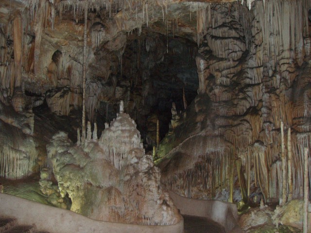 P1010090.JPG