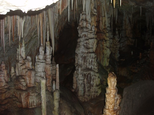 P1010092.JPG