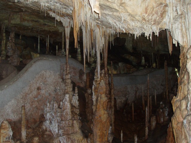 P1010093.JPG