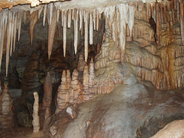 P1010094.JPG