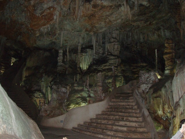P1010096.JPG