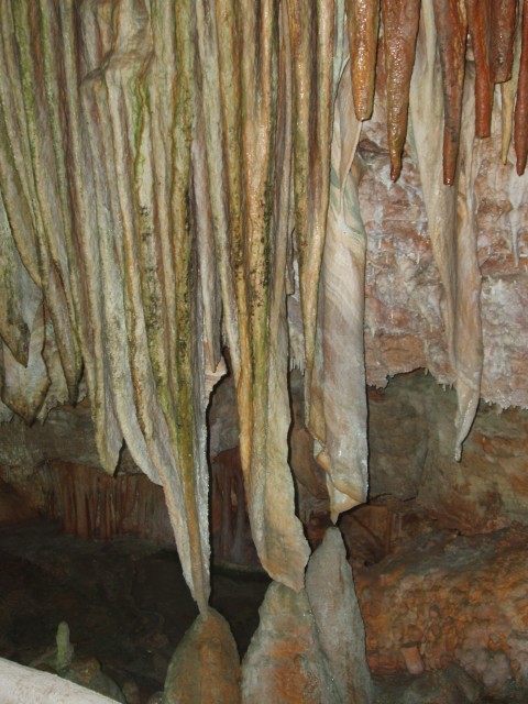 P1010098.JPG