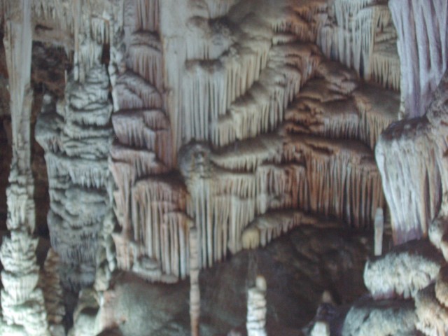 P1010100.JPG