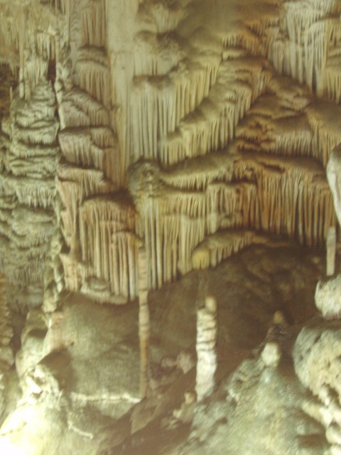 P1010101.JPG