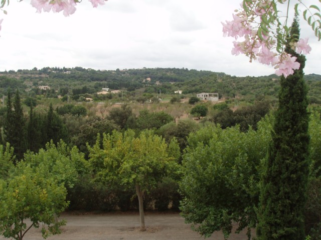 P1010103.JPG