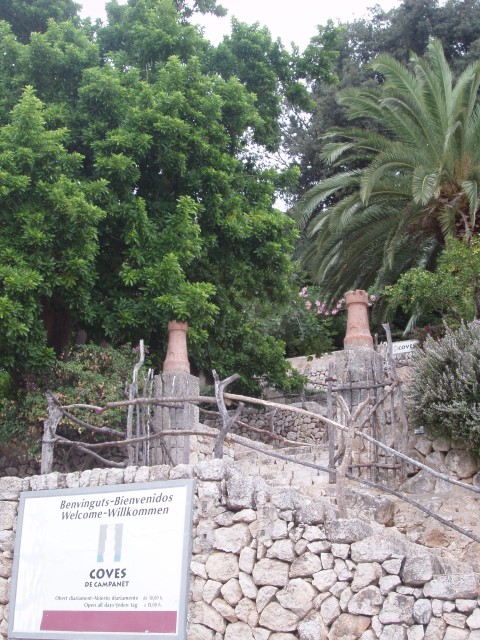 P1010108.JPG