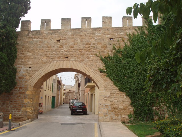 P1010109.JPG