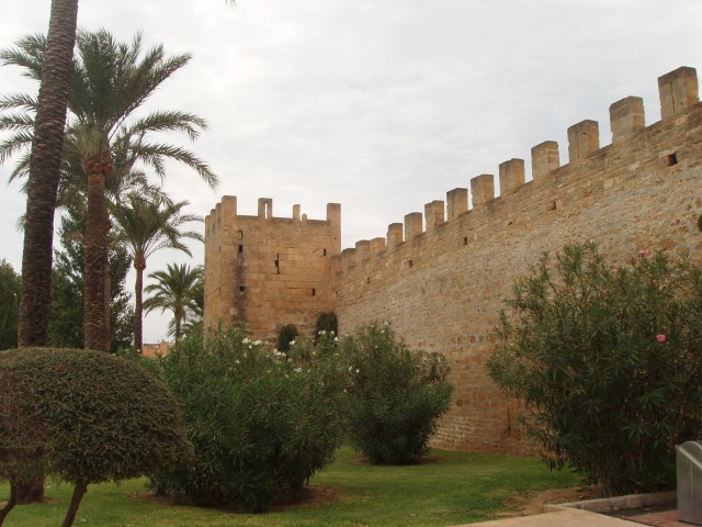 P1010110.JPG