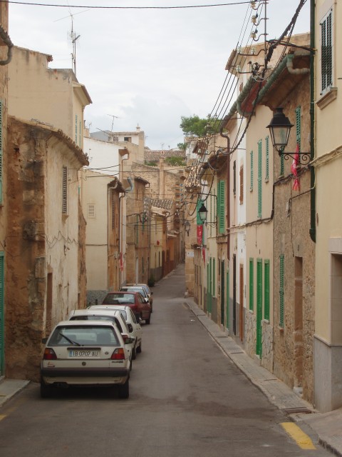 P1010111.JPG