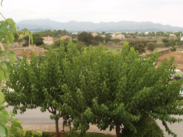 P1010115.JPG