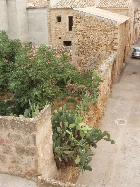 P1010117.JPG