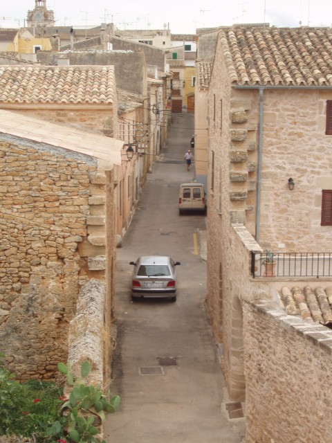 P1010118.JPG