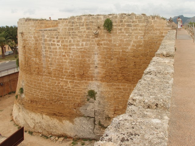 P1010120.JPG