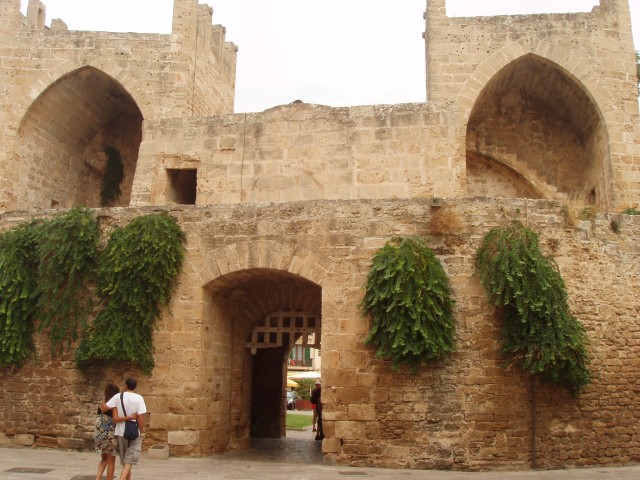 P1010124.JPG