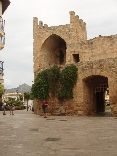 P1010126.JPG